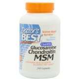 chondroitin supplements