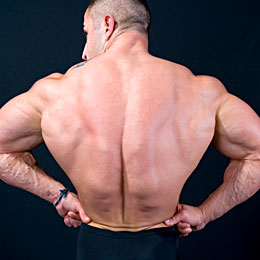 the best back workout for men to blast your back muscles