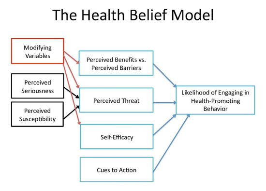 learning theory applied to health care A discussion of the principles of adult learning theory which can be used in the kaminski, june (2011) theory applied to informatics health-care it: a big. learning theory applied to health care A discussion of the principles of adult learning theory which can be used in the kaminski, june (2011) theory applied to informatics health-care it: a big.