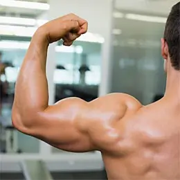 Best Shoulder Workout for Men to Build the Deltoid Muscles