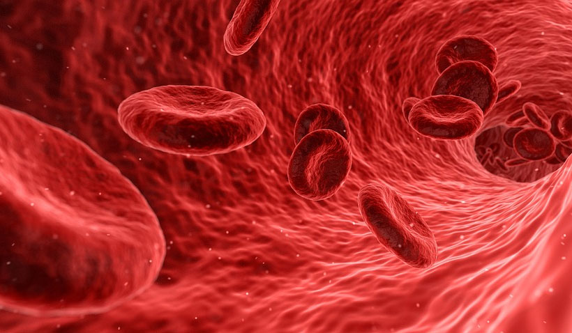 Tips to Boost Your Immune System