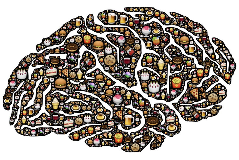 The Effects of Nutrition on Brain Health and Function
