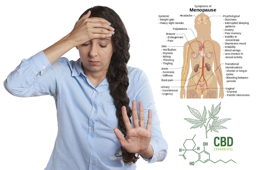 menopause symptons cbd