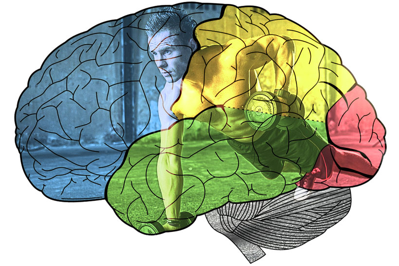 fitness mind body connection