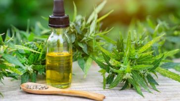 cbd hemp oil