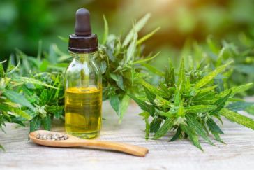 cbd hemp oil