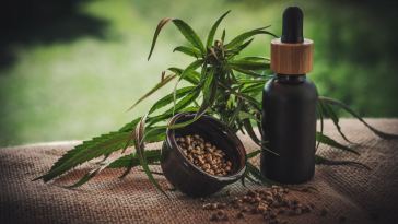 CBD for fitness and bodybuilding