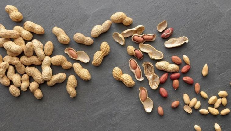peanuts vs almonds