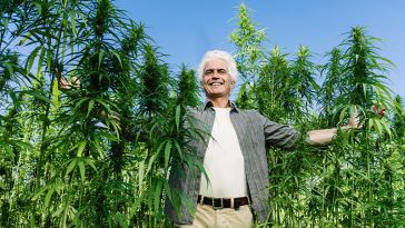 cannabis lifestyle