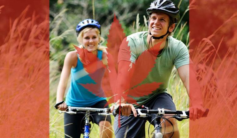 cannabis health trend canada