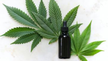 cannabis as a sleep aid