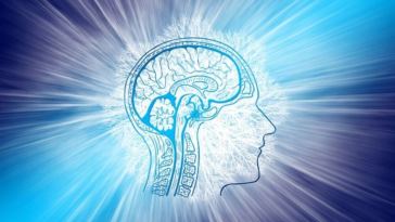 how to keep the brain healthy