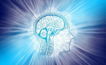 how to keep the brain healthy