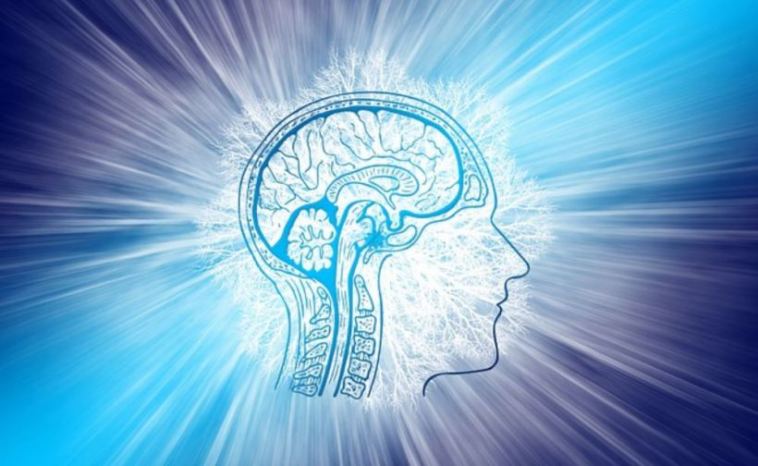 how to keep the brain healthy