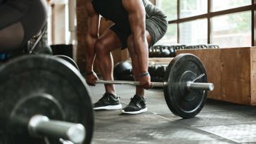 muscle building tips beginners