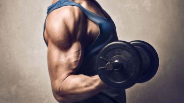 dumbbell curl free weight exercise