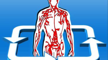 blood circulation