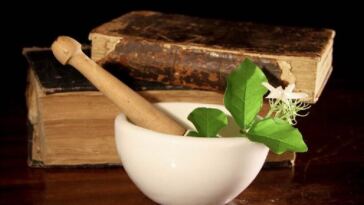 kratom and herbal remedies