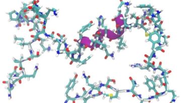 peptides