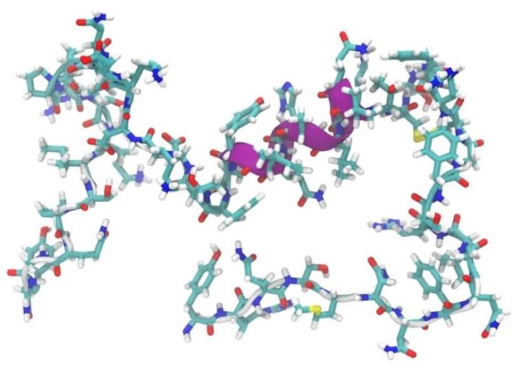 peptides