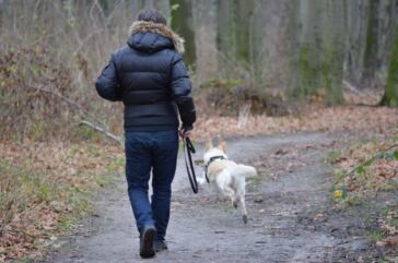 man running with dog